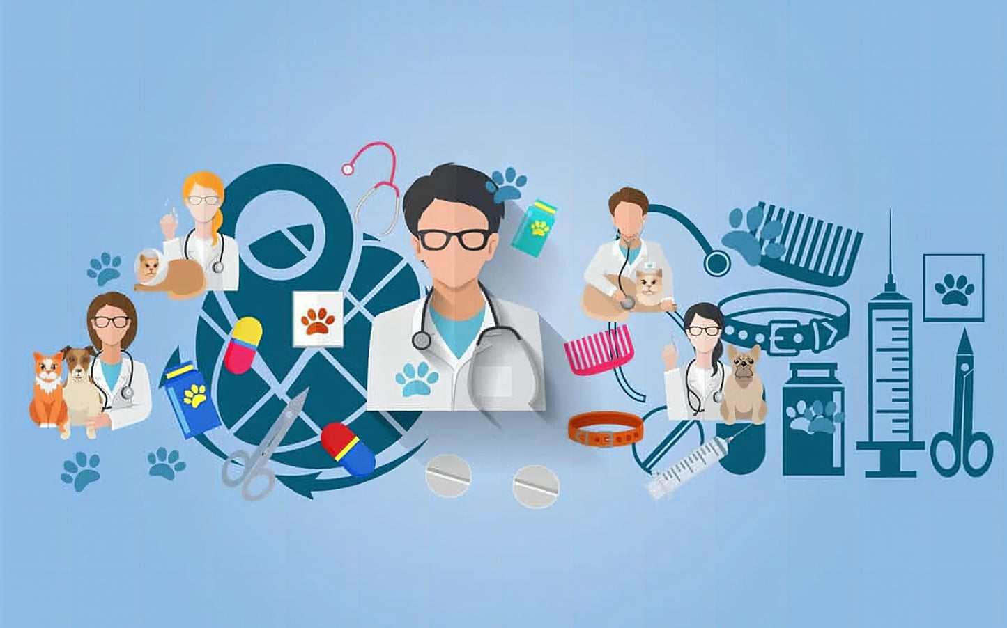 What Can You Do With A Bachelors In Veterinary Medicine