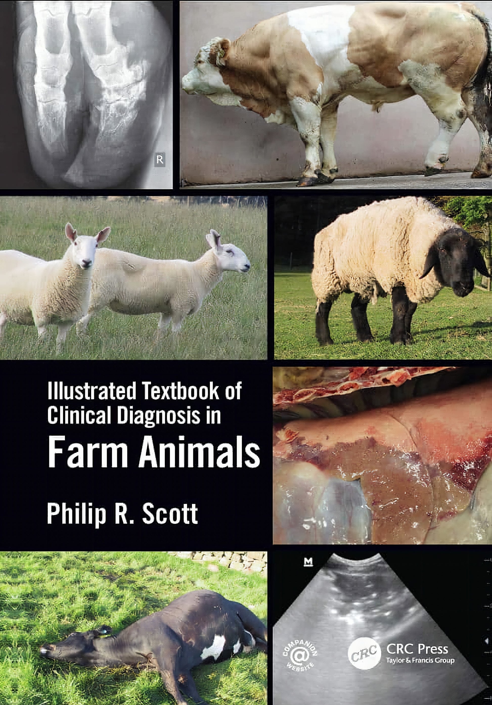 Illustrated Textbooks Of Clinical Diagnosis In Farm Animal