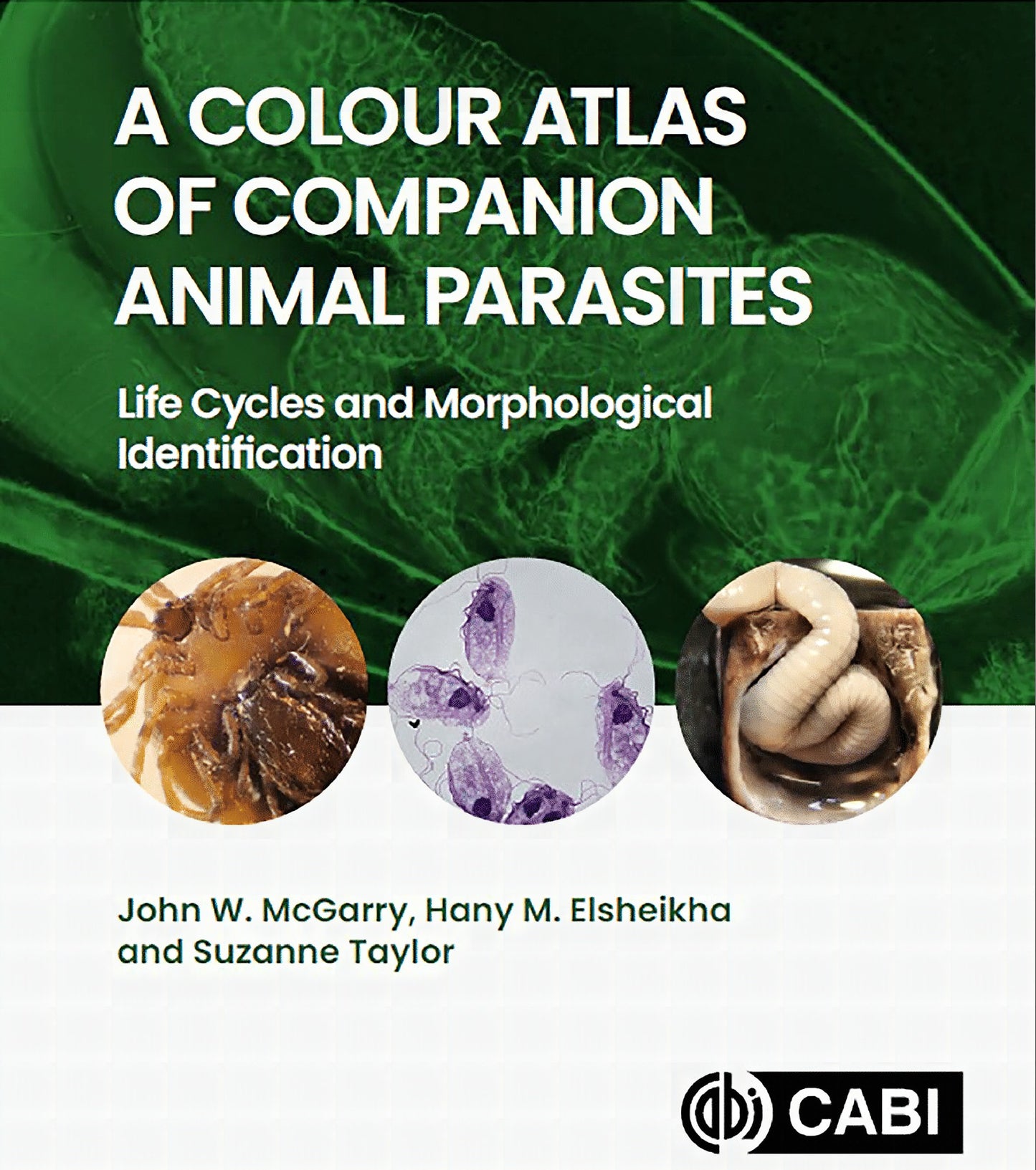 A Colour Atlas Of Companion Animal Parasites Life Cycles And Morphological Identification