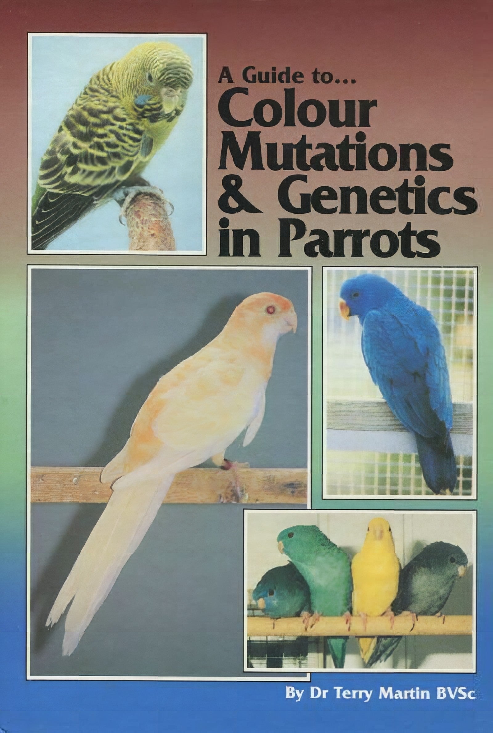A Guide To Colour Mutations And Genetics In Parrots