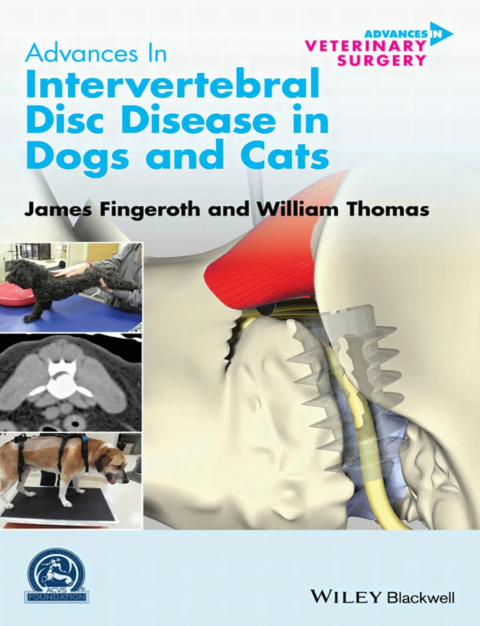 Advances In Intervertebral Disc Disease In Dogs And Cats