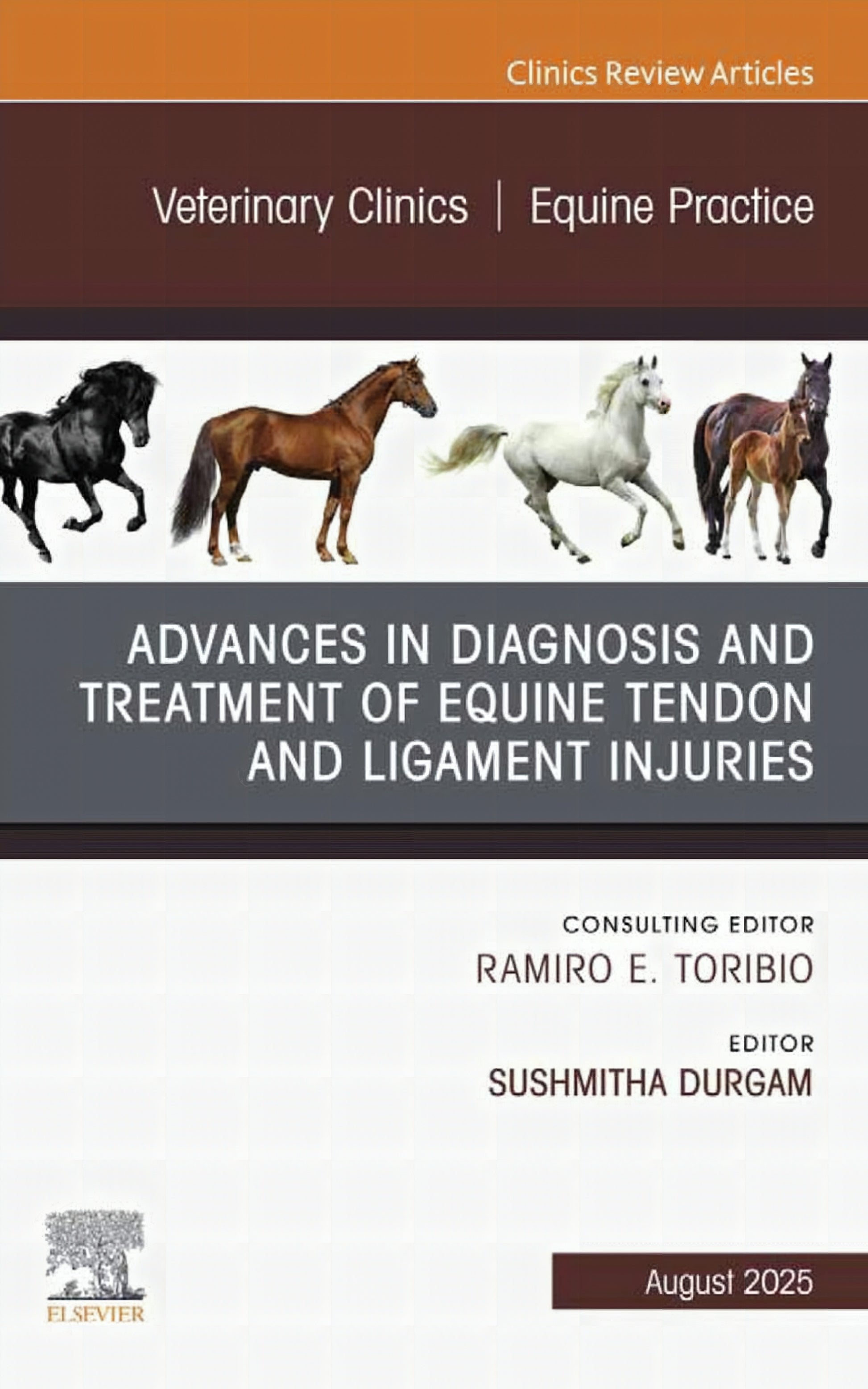 Advances In The Diagnosis And Treatment Of Equine Tendon And Ligament Injuries An Issue Of Veterinary Clinics Of North America_ Equine Practice