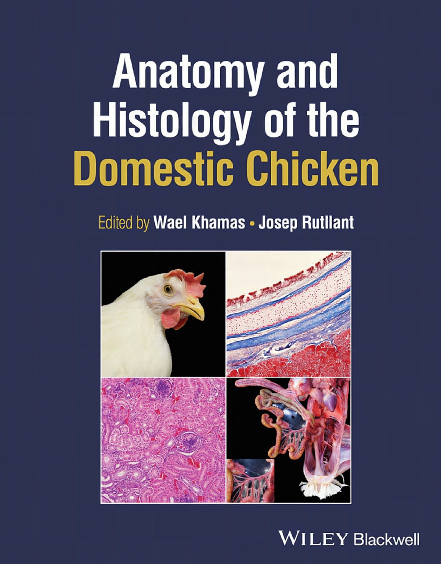 Anatomy And Histology Of The Domestic Chicken