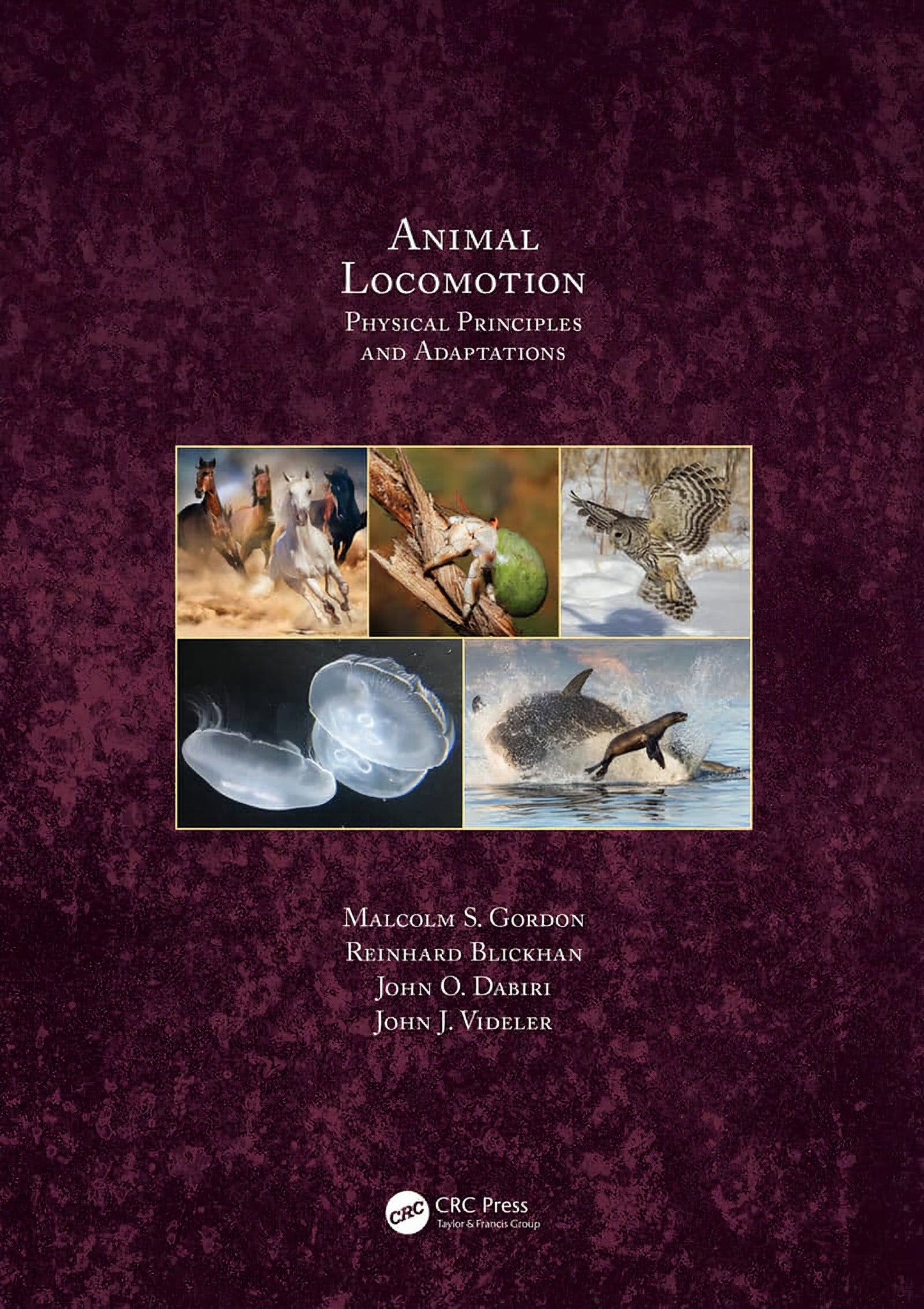 Animal Locomotion Physical Principles And Adaptations