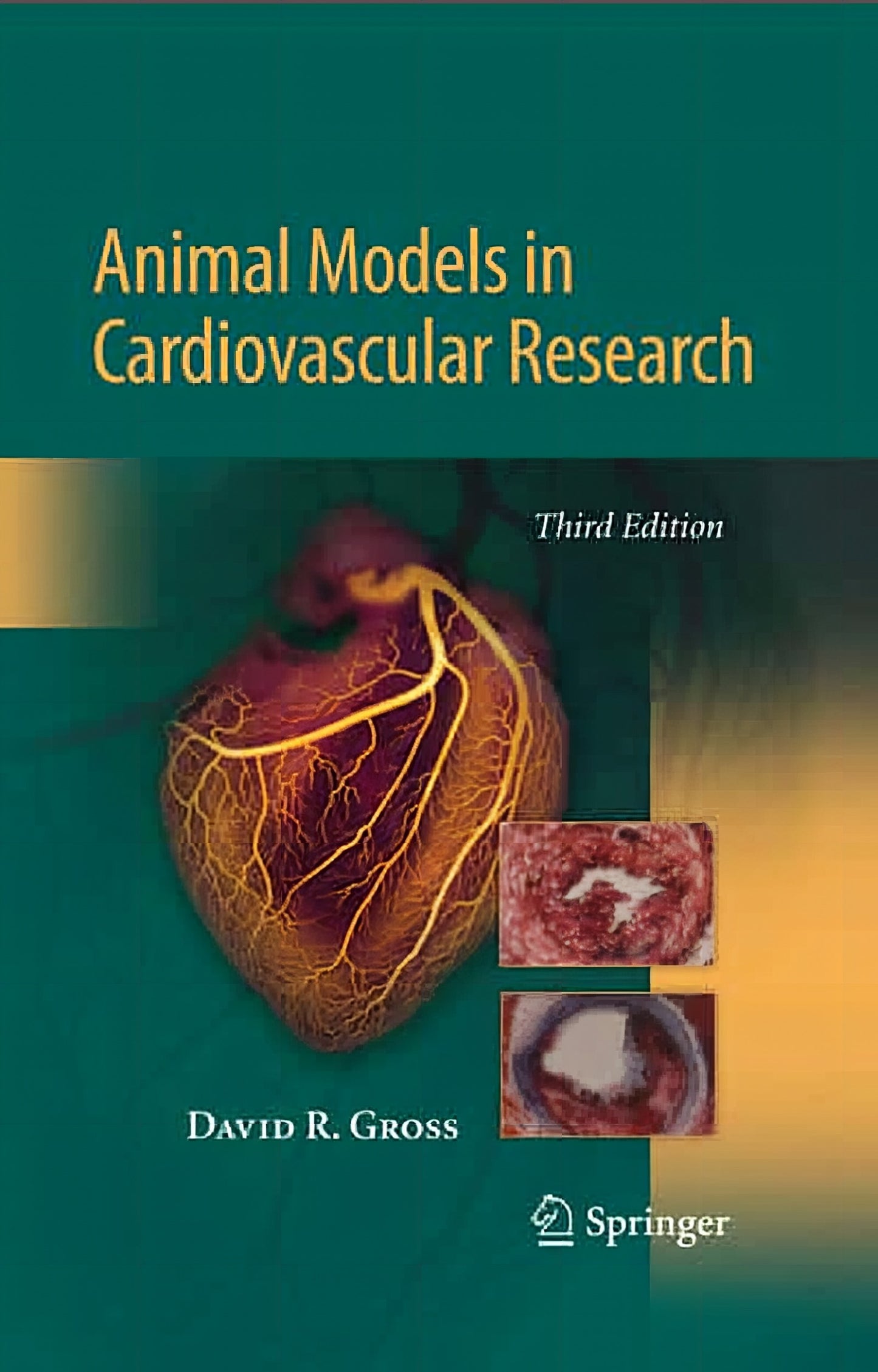 Animal Model In Cardiovascular Research