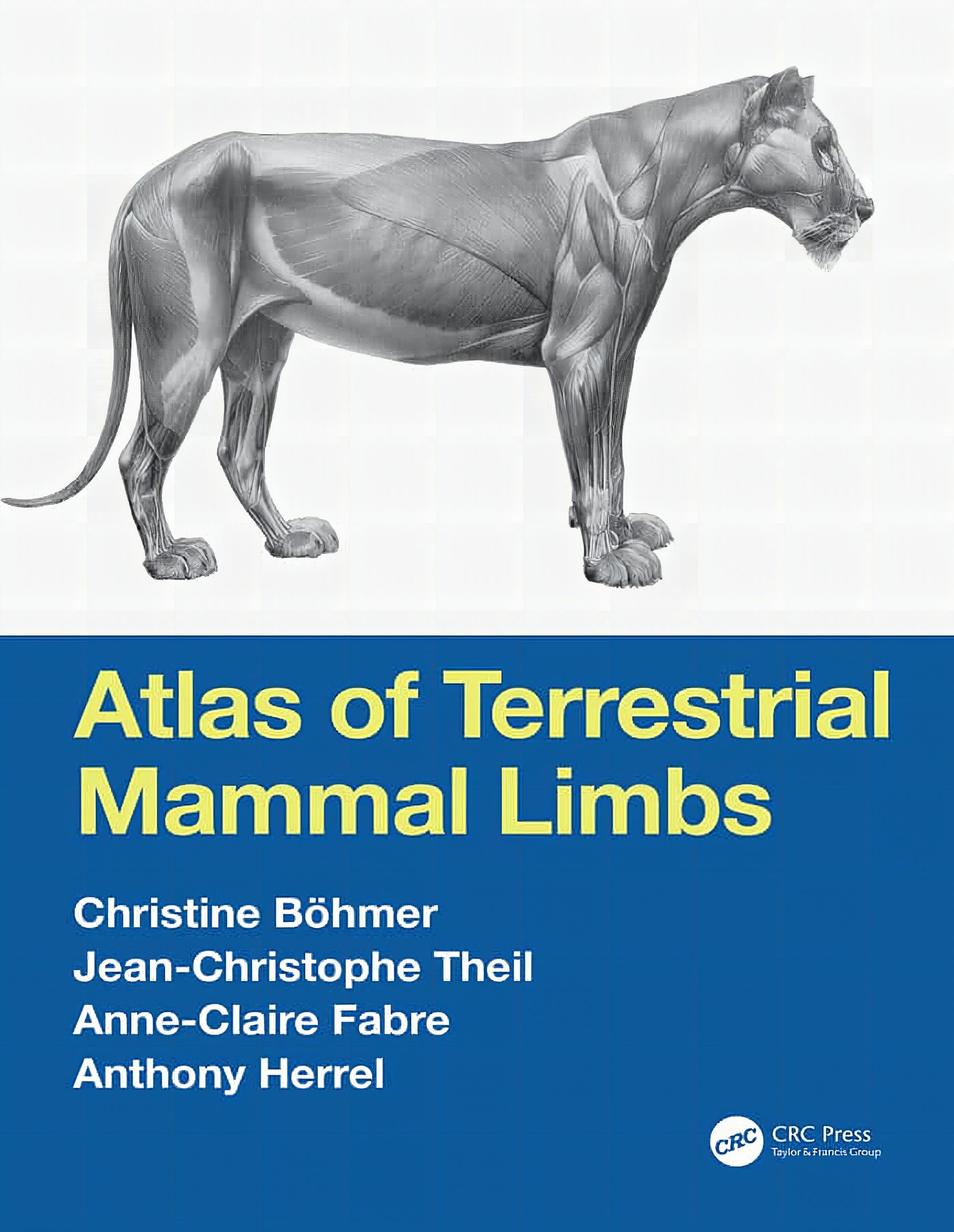 Atlas Of Terrestrial Mammal Limbs