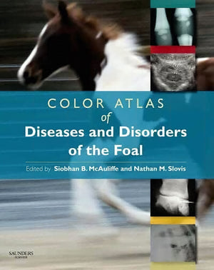 Knottenbelt And Pascoes Color Atlas Of Diseases And Disorders Of The Horse 2nd Edition