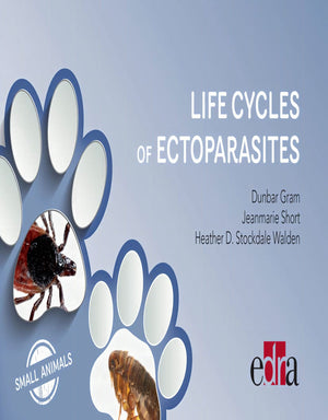 Life Cycles Of Ectoparasites In Small Animals