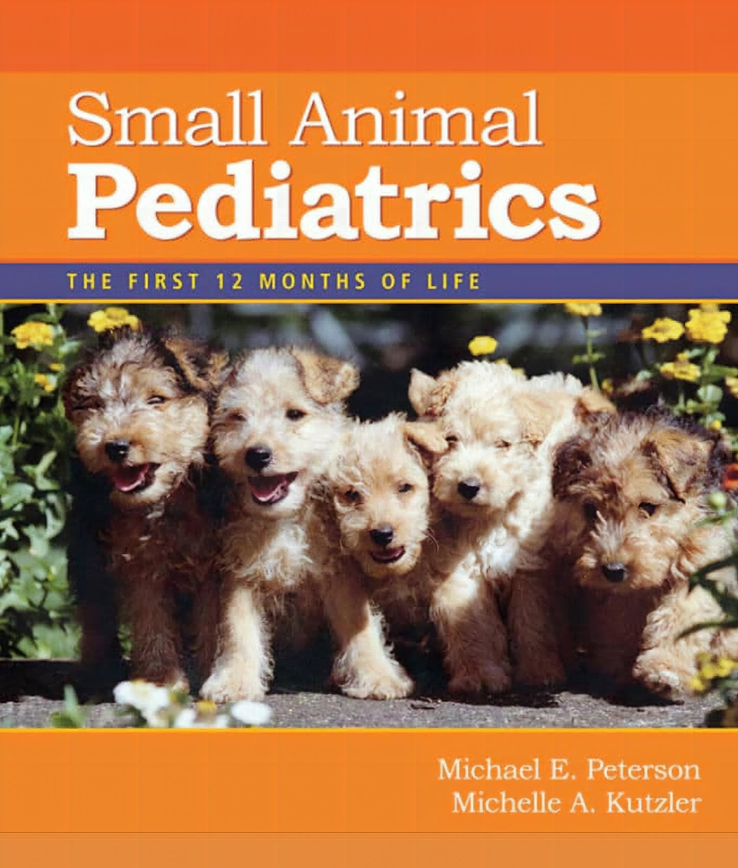 Small Animal Pediatrics The First 12 Months Of Life