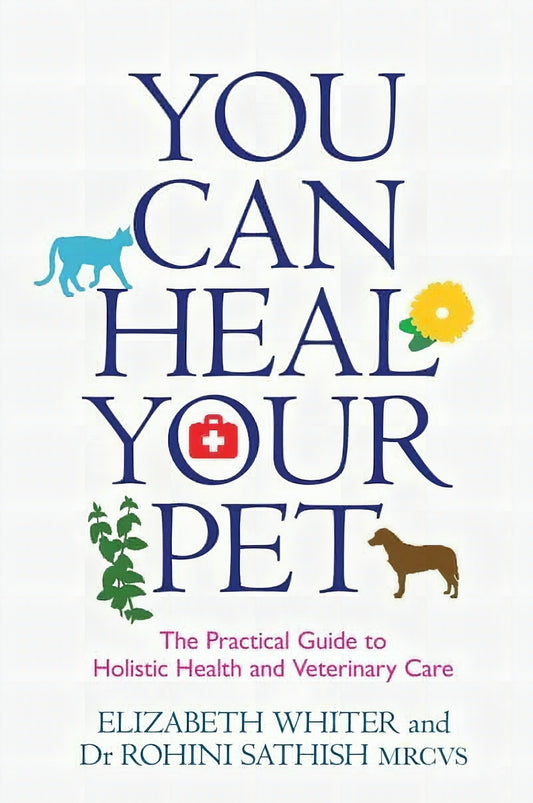 You Can Heal Your Pet The Practical Guide To Holistic Health And Veterinary Care