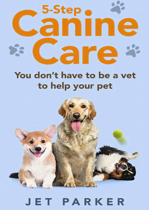 5 Step Canine Care You Dont Have to Be a Vet to Help Your Pet