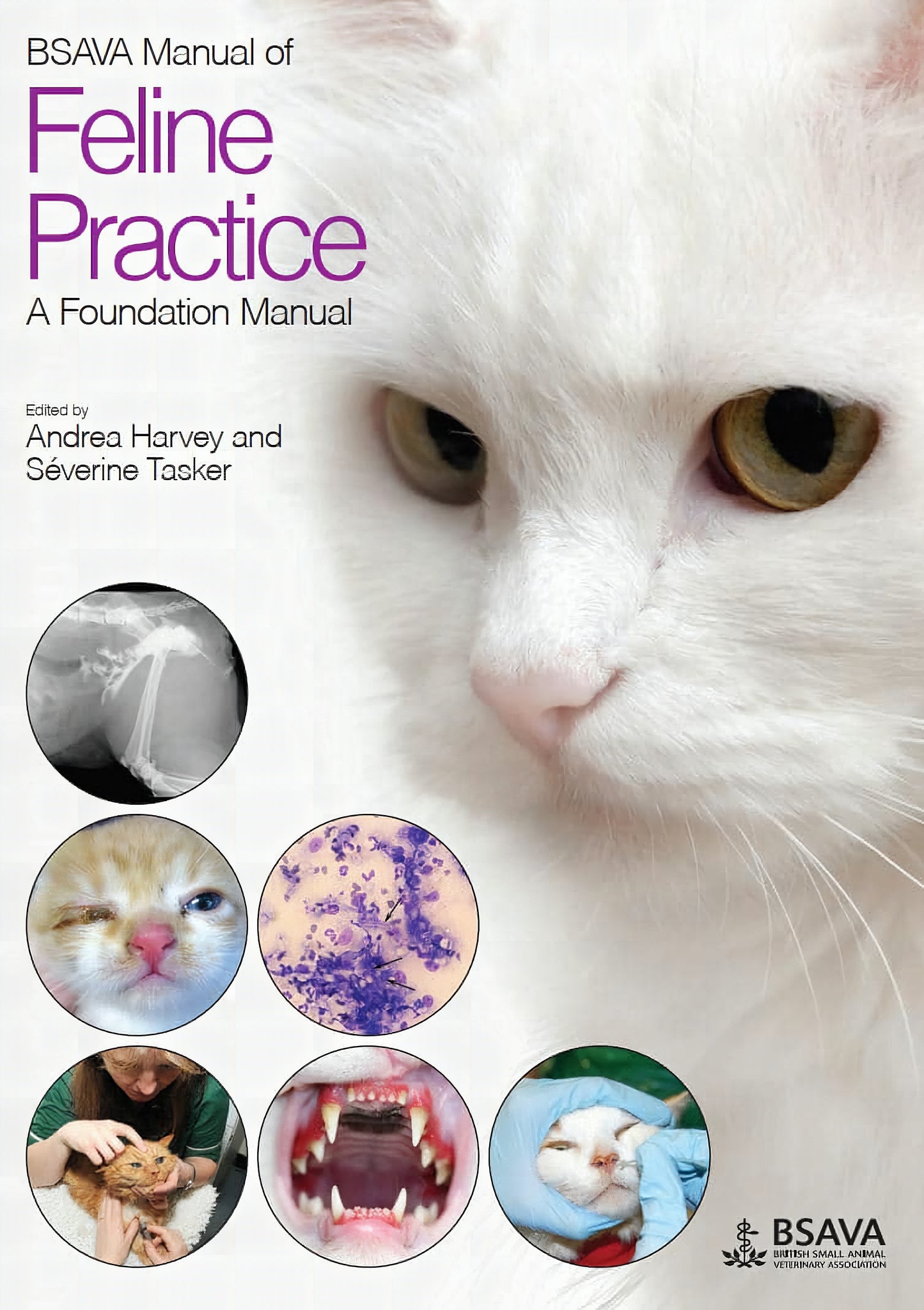 Bsava Manual of Feline Practice a Foundation Manual