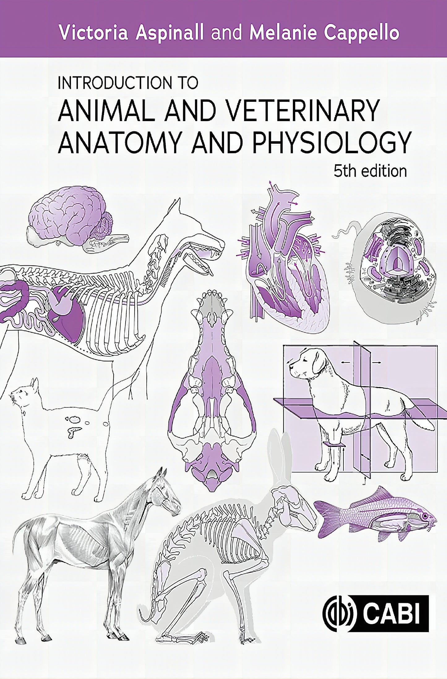 Introduction to Veterinary Anatomy and Physiology Textbook