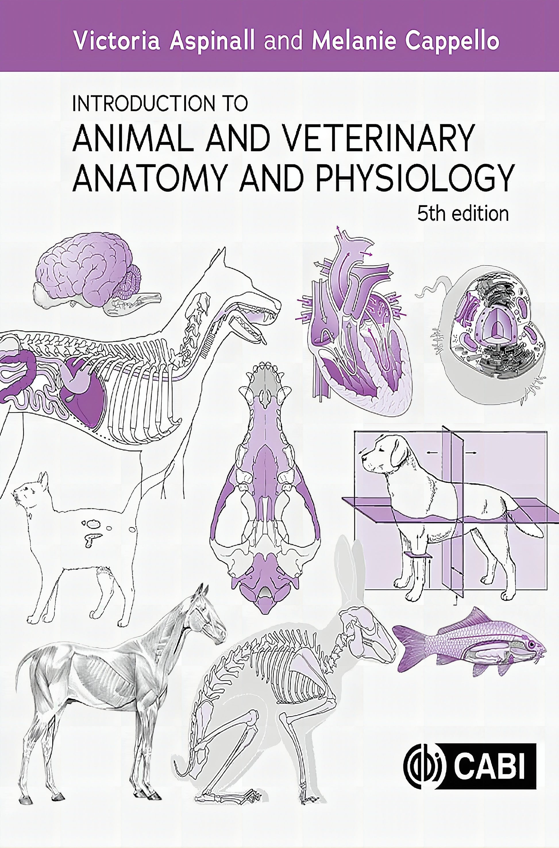 Introduction to Veterinary Anatomy and Physiology Textbook