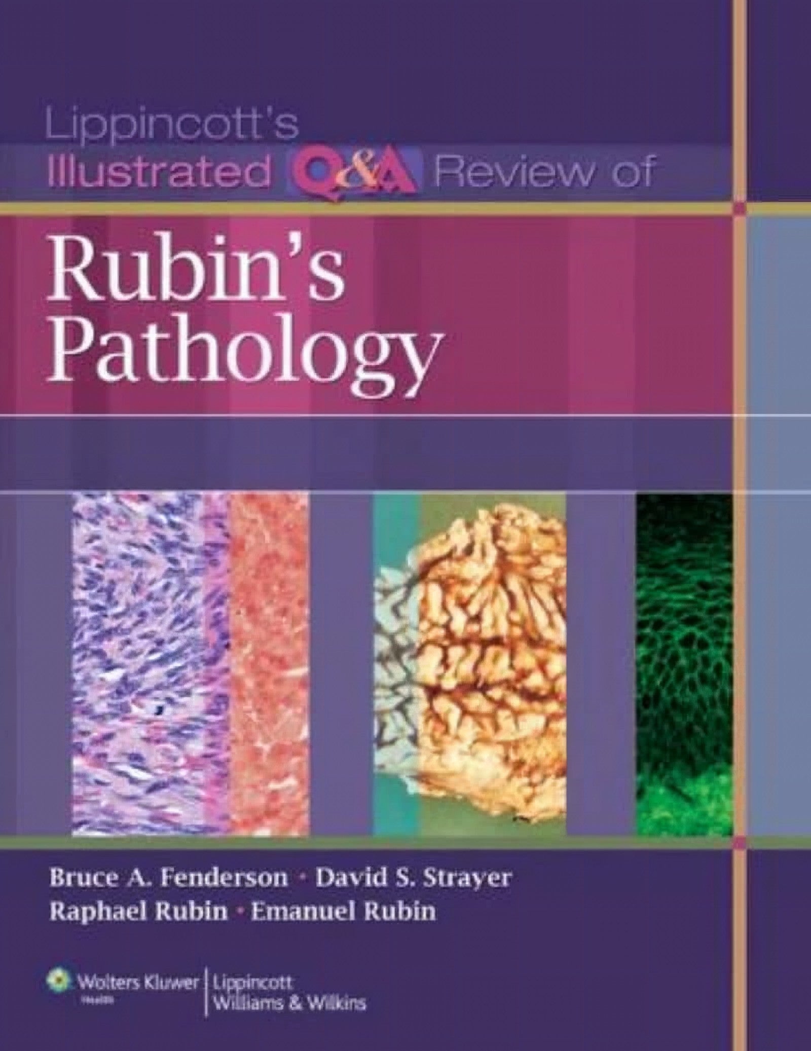 Lippincotts Illustrated Qa Review of Rubins Pathology 2ND Edition