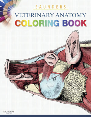 Saunders Veterinary Anatomy Coloring Book