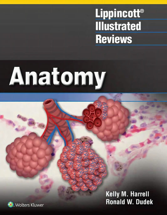 The Lippincott Illustrated Reviews Anatomy