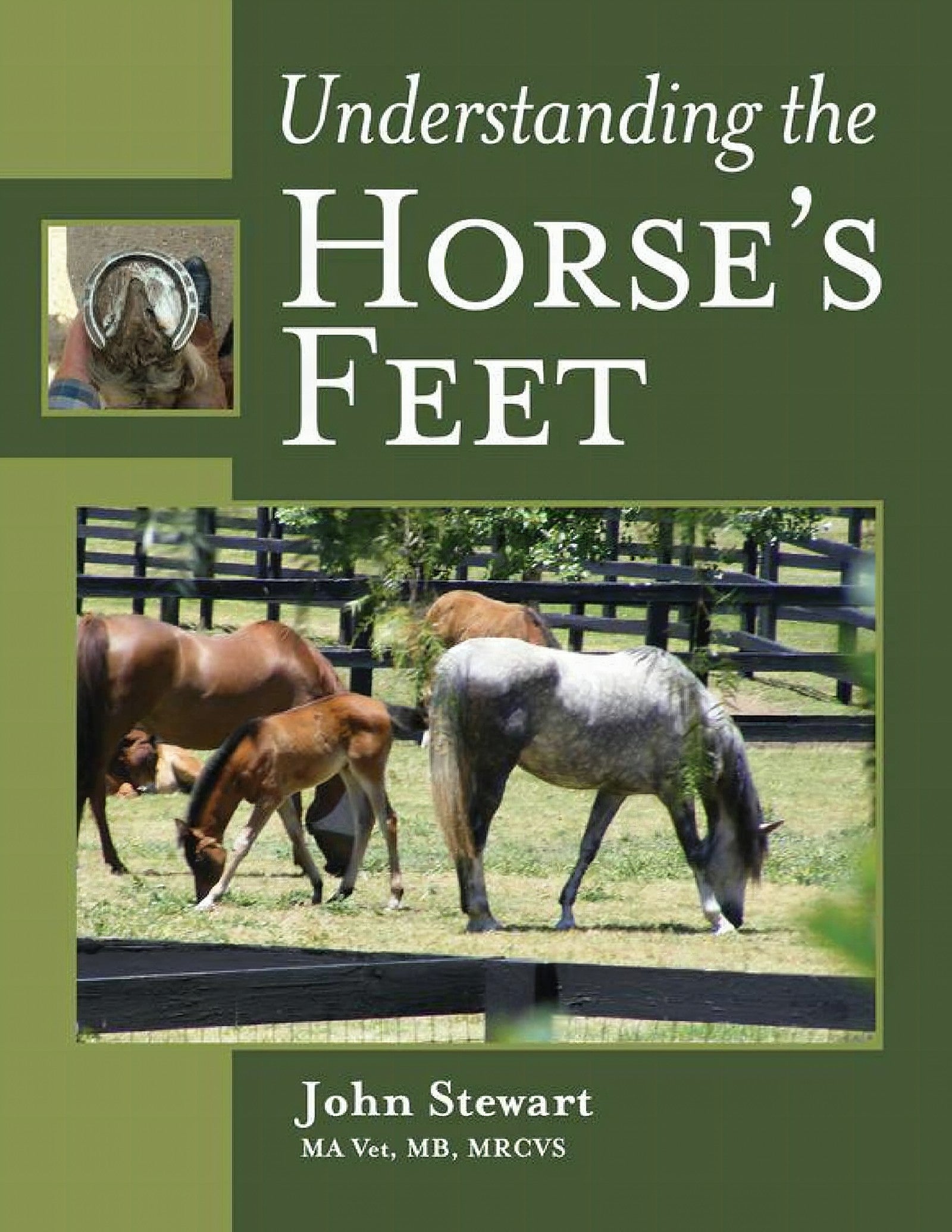 Understanding the Horses Feet