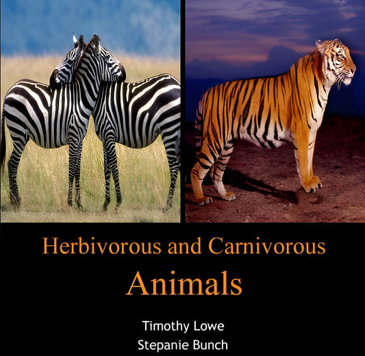 Herbivorous And Carnivorous Animals
