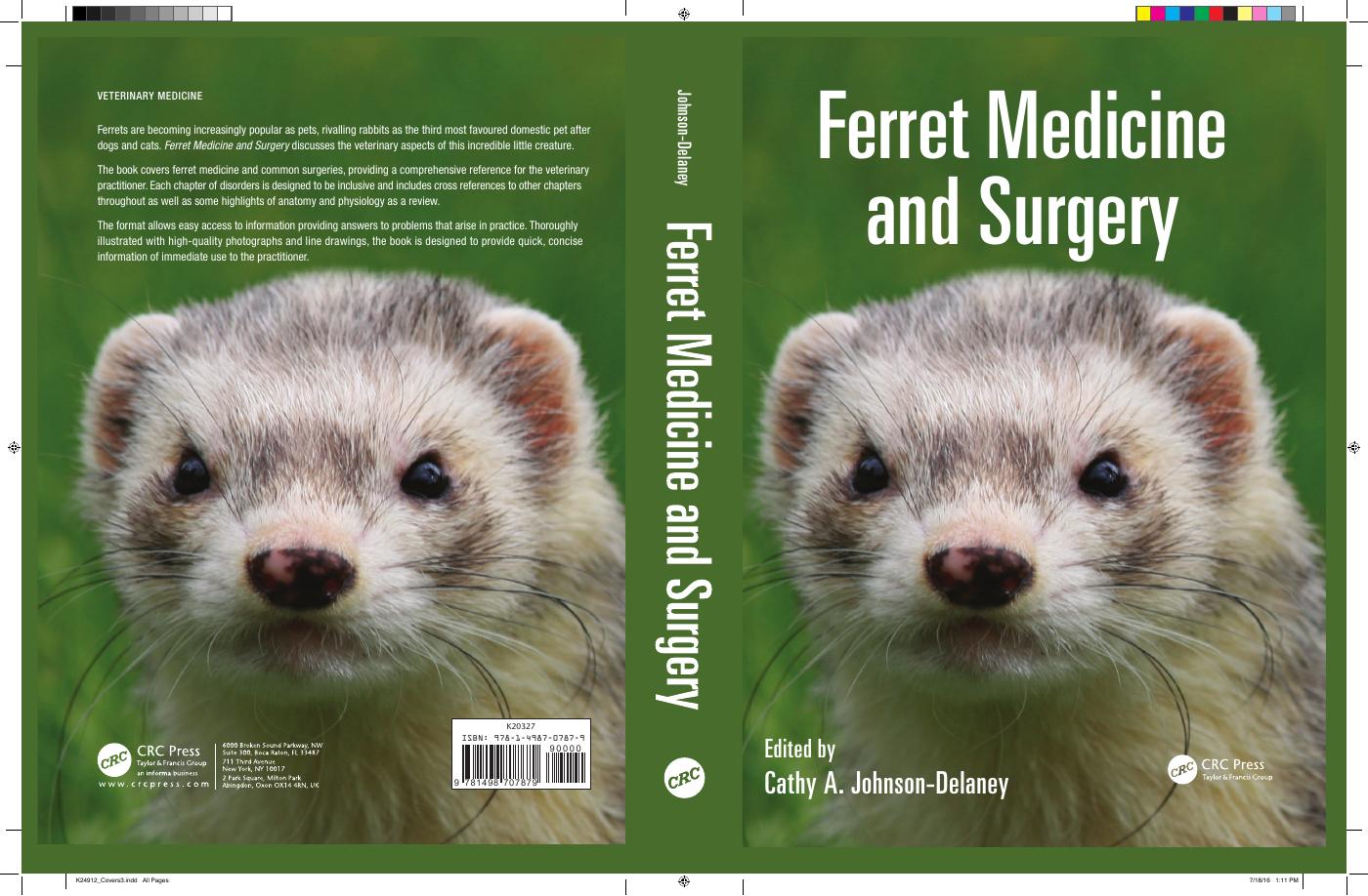 The Ferret's Medicine & Surgery