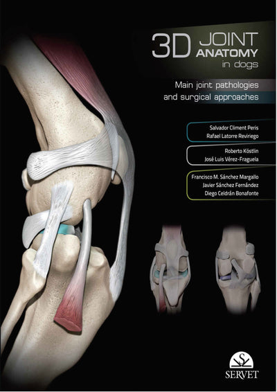 3D Joint Anatomy In Dogs Main Joint Pathologies and Surgical Approaches