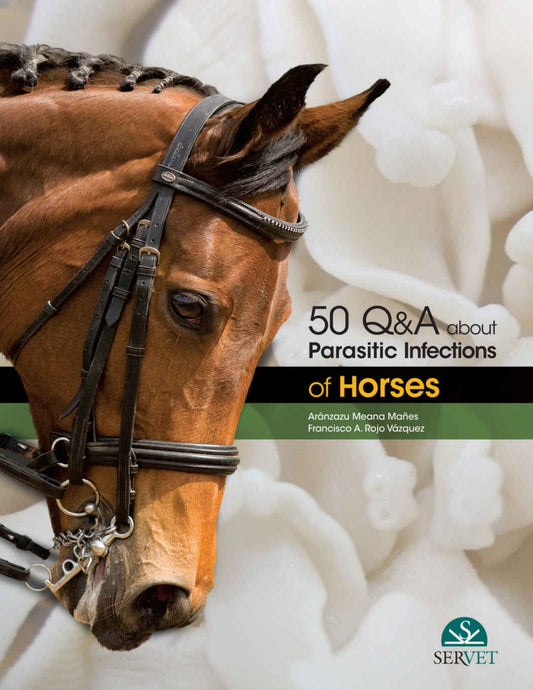 50 Qa About Parasitic Infections Of Horses