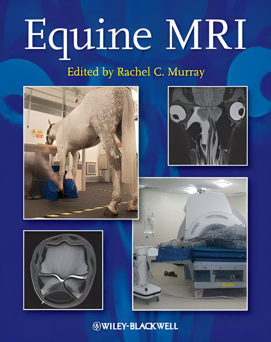 Equine Mri