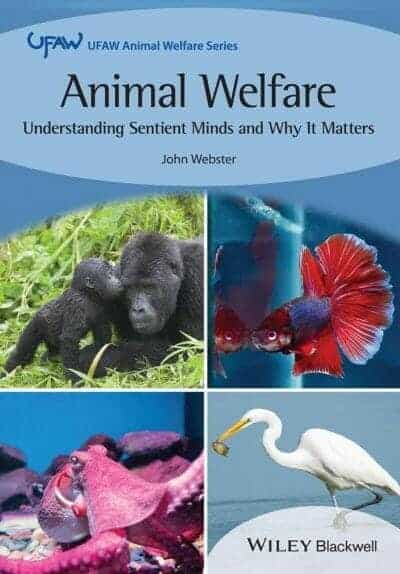 Animal Welfare Understanding Sentient Minds And Why It Matters