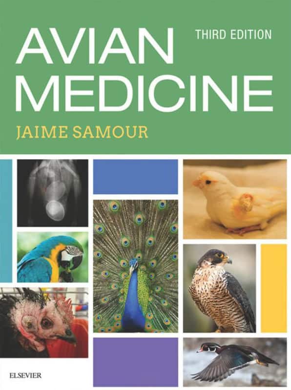 Avian Medicine 3 Edition