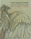 Avian Surgical Anatomy Thoracic And Pelvic Limbs