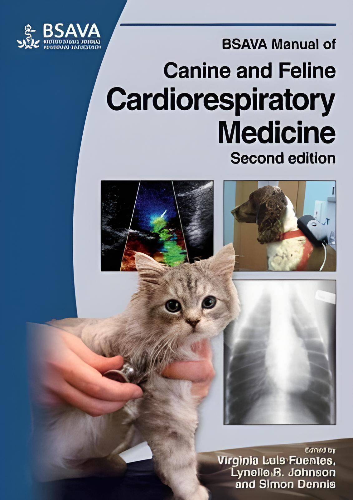 Consultations in Feline Internal Medicine 5th edition - Original Cover