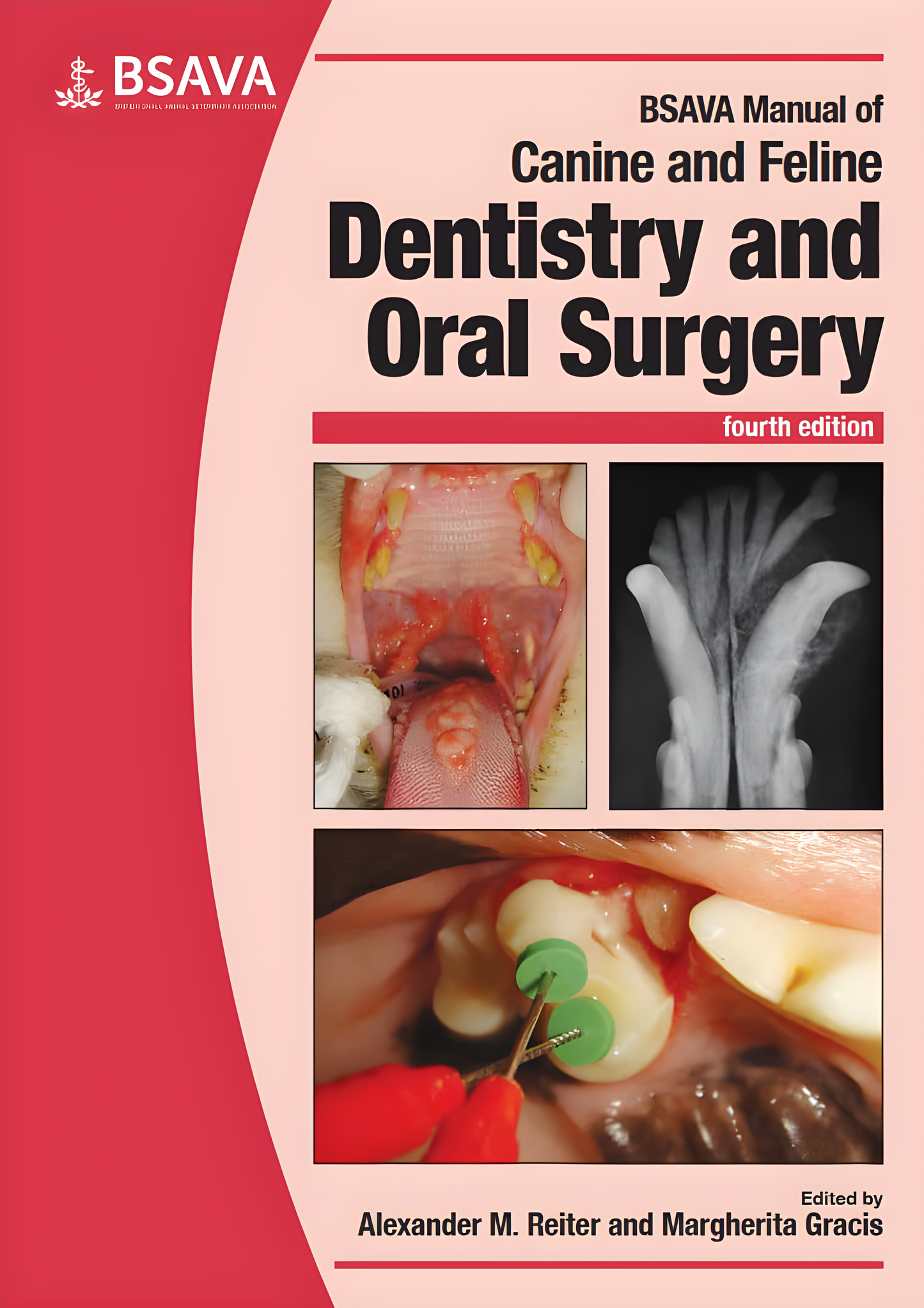 BSAVA Manual of Canine and Feline Dentistry and Oral Surgery, 4th Edition - Original Cover