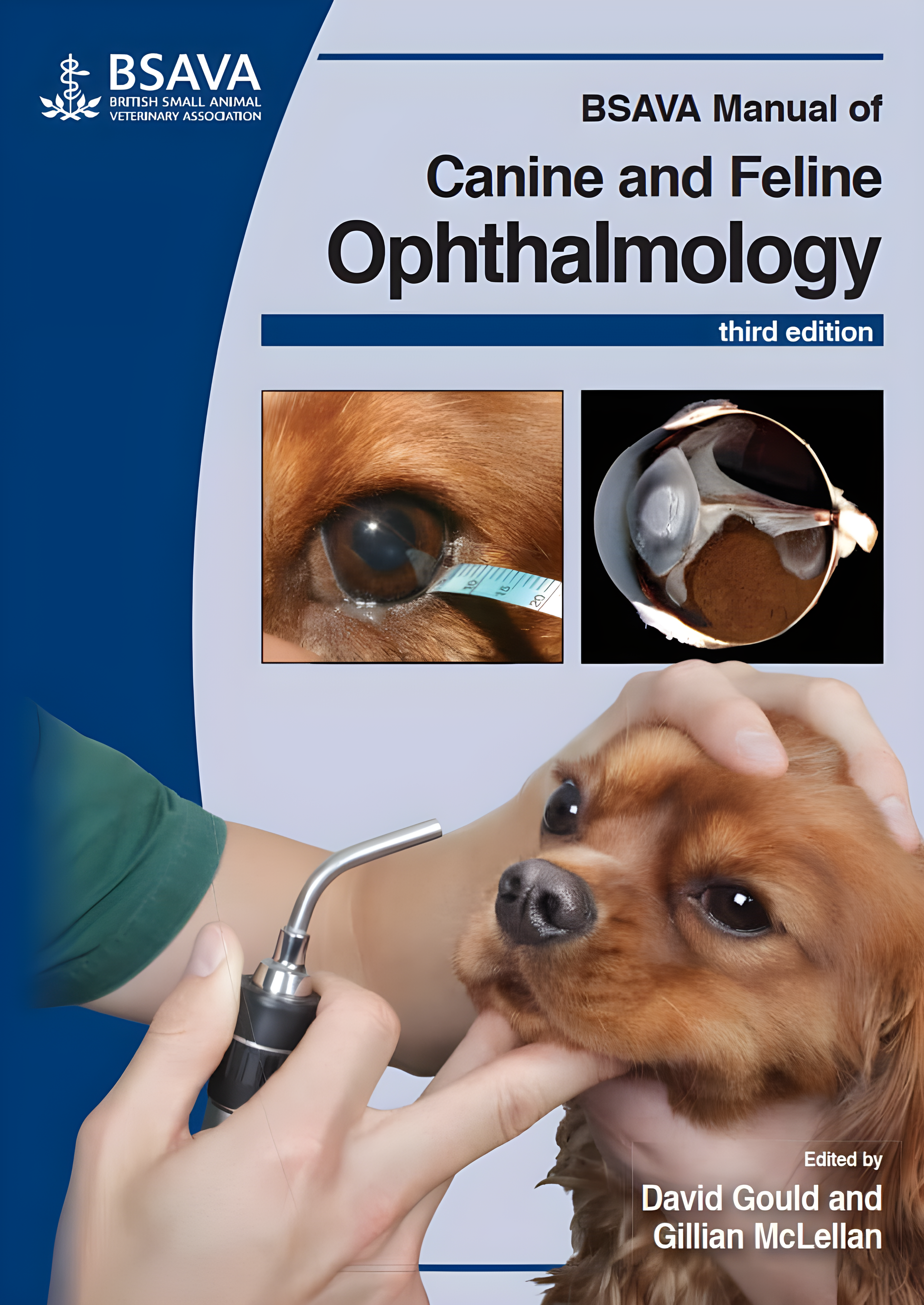 Feline Ophthalmology, The Manual - Original Cover