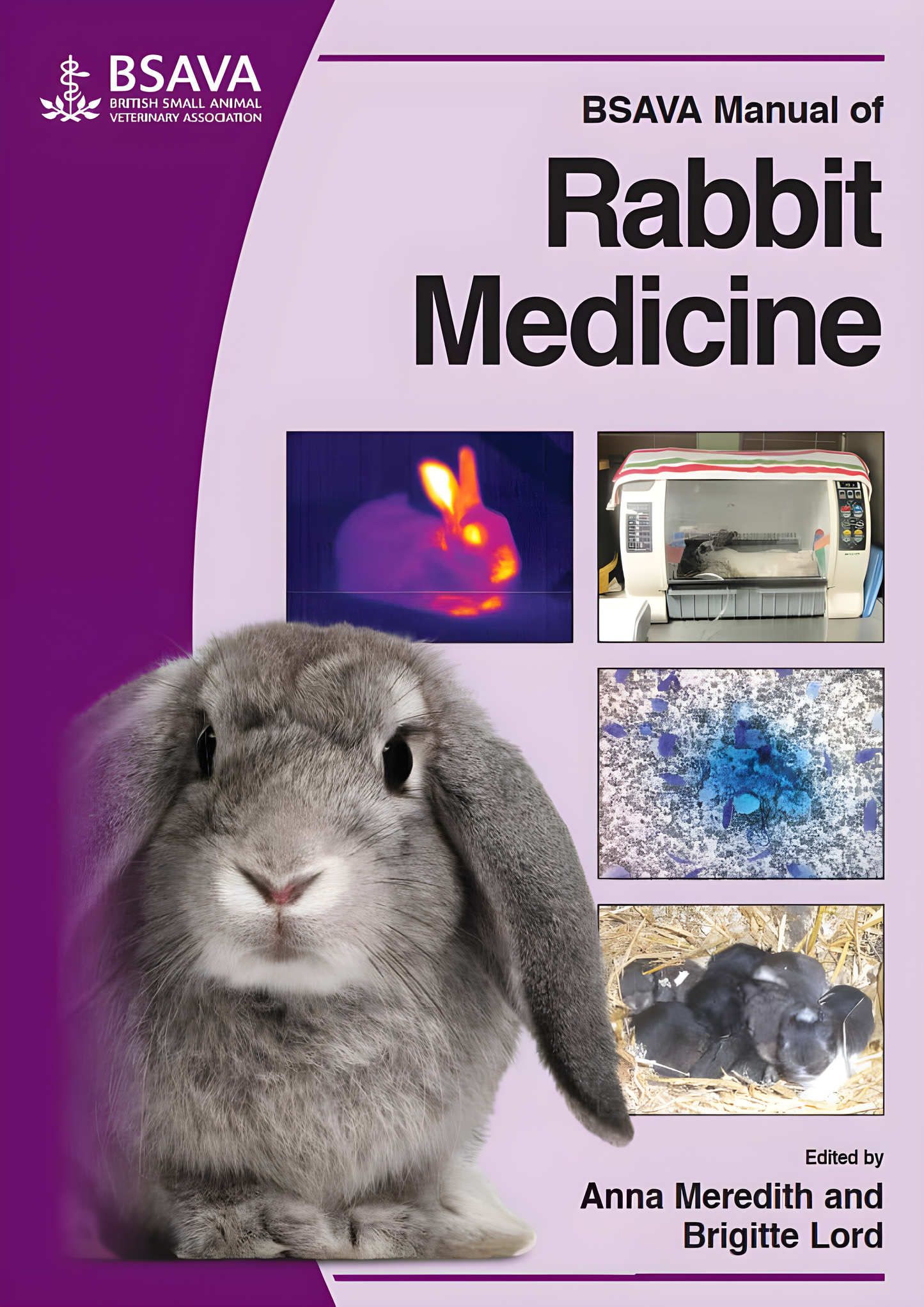 BSAVA Manual of Rabbit Medicine - Original Cover