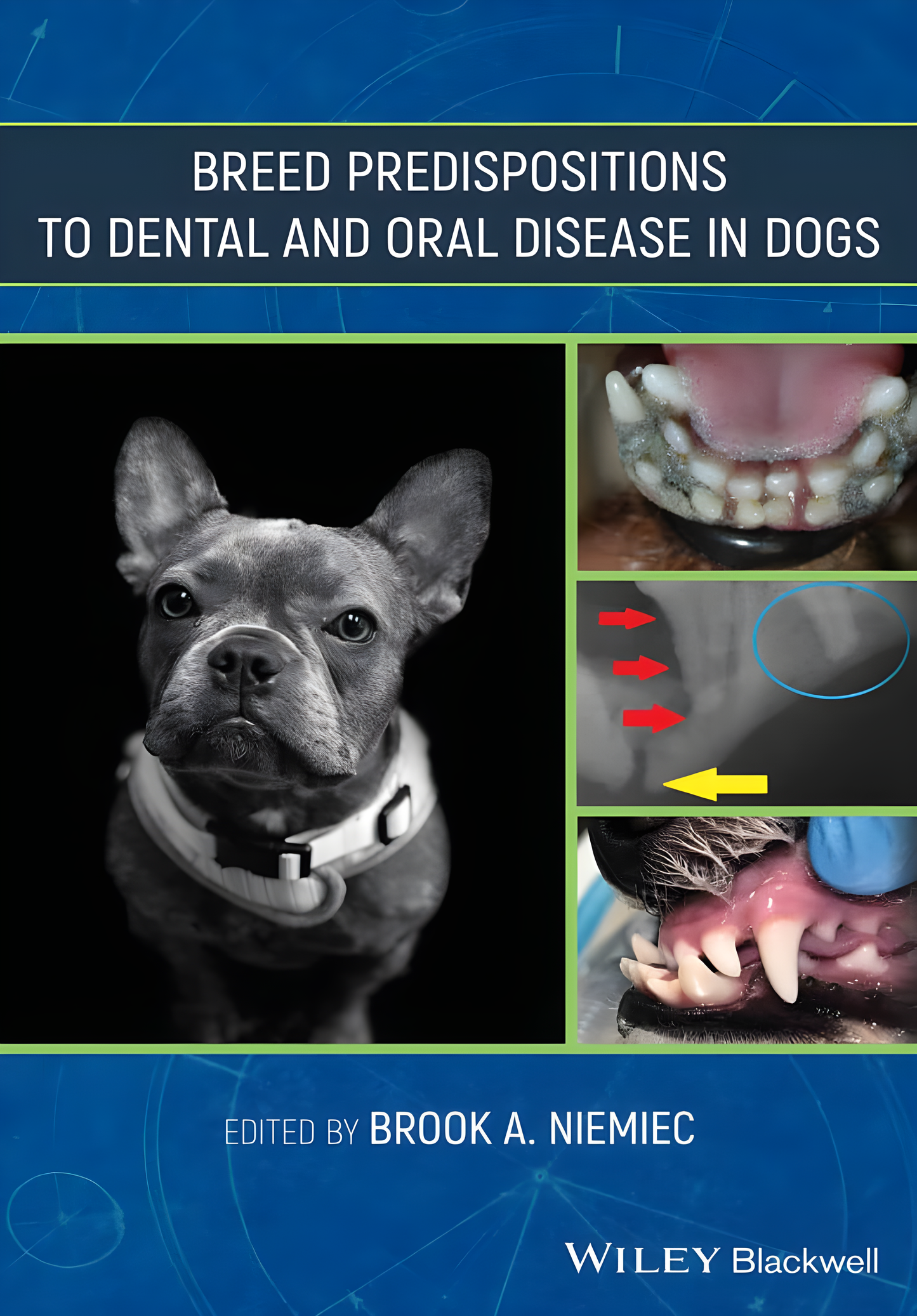 Breed Predispositions to Dental and Oral Disease i - Original Cover
