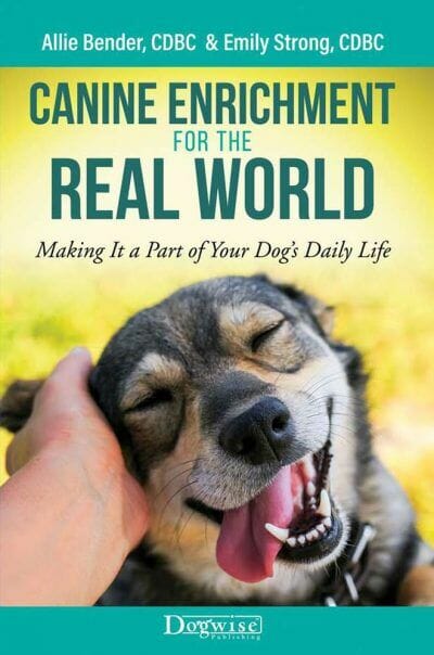 Canine Enrichment For The Real World Making It A Part Of Your Dogs Daily Life