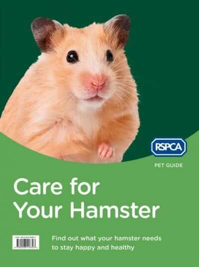 Rspca Pet Guide Care For Your Hamster