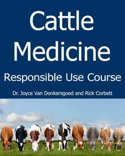 Cattle Medicine Responsible Use Course