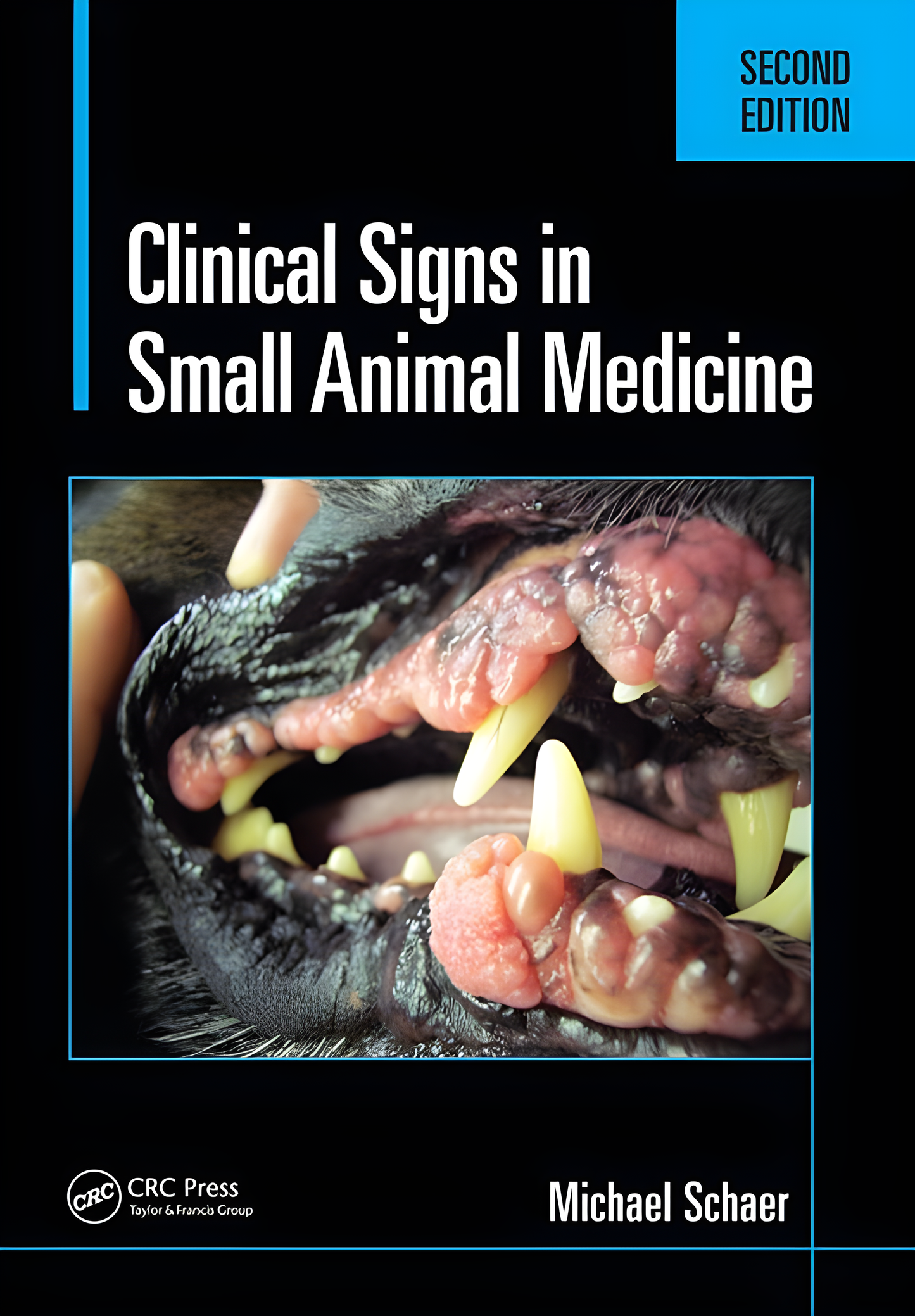 Pocket Handbook of Small Animal Medicine, 2nd Edition - Original Cover