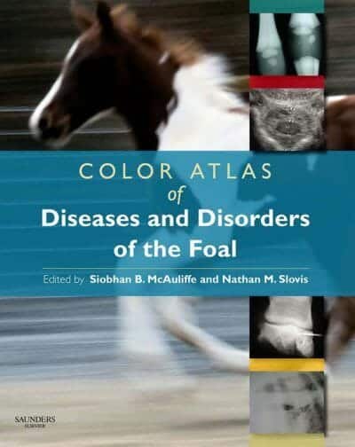 Color Atlas Of Diseases And Disorders Of The Foal