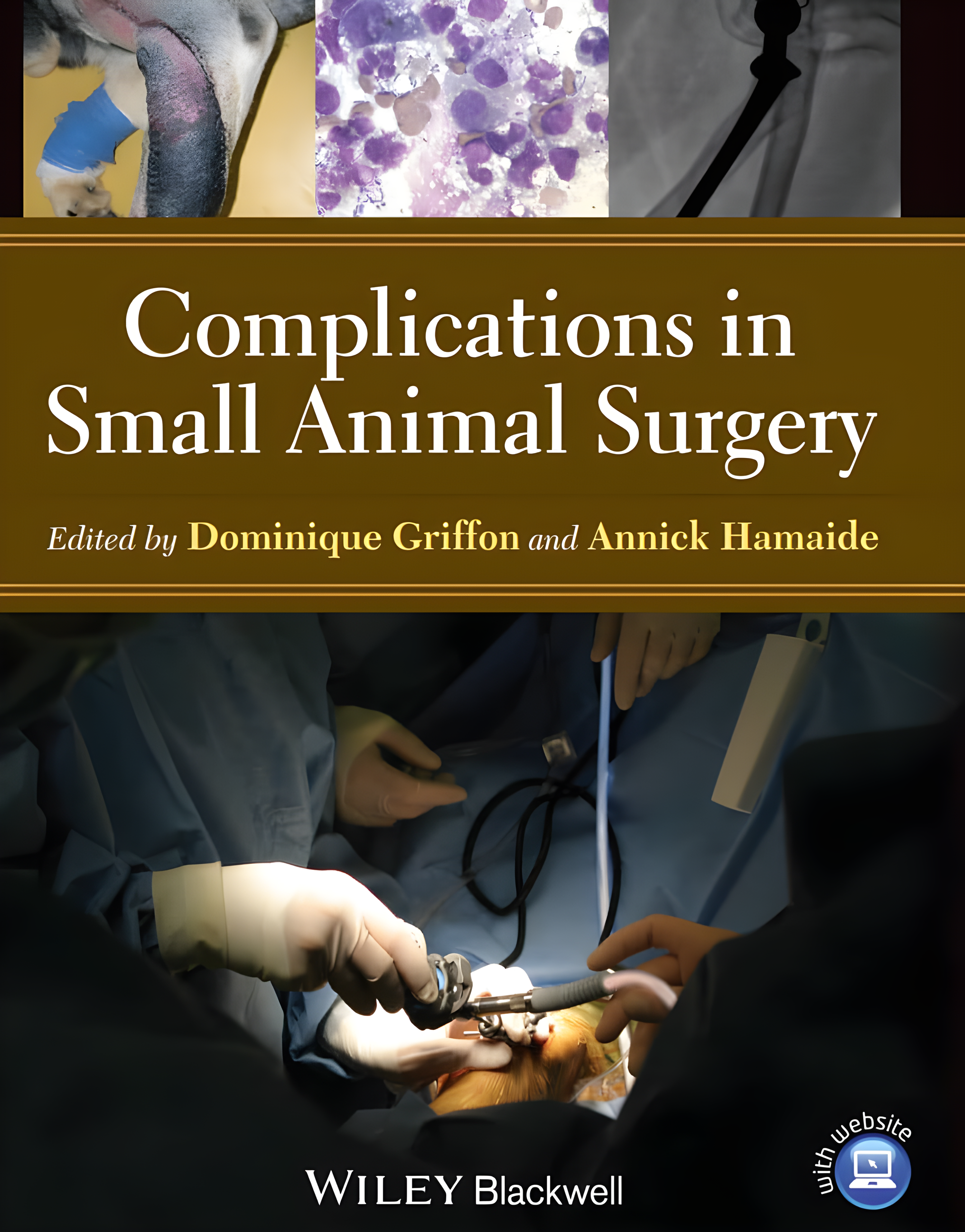 Small Animal Surgery, Errors and Complications in Surgery - Original Cover