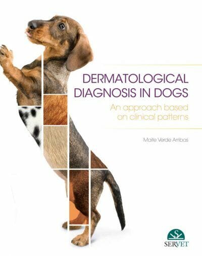 Dermatological Diagnosis In Dogs An Approach Based On Clinical Pattern