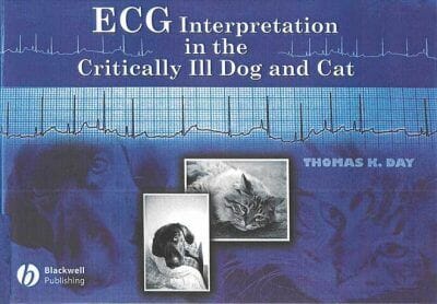 Ecg Interpretation In The Critically Ill Dog And Cat
