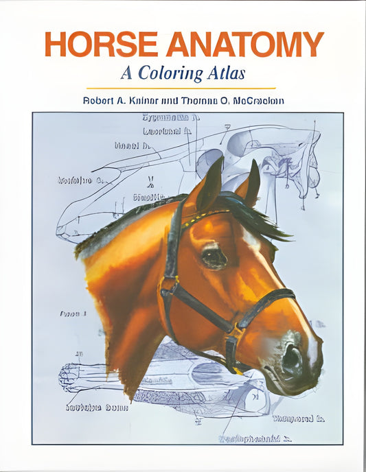Horse Anatomy Coloring Atlas 2Nd Edition
