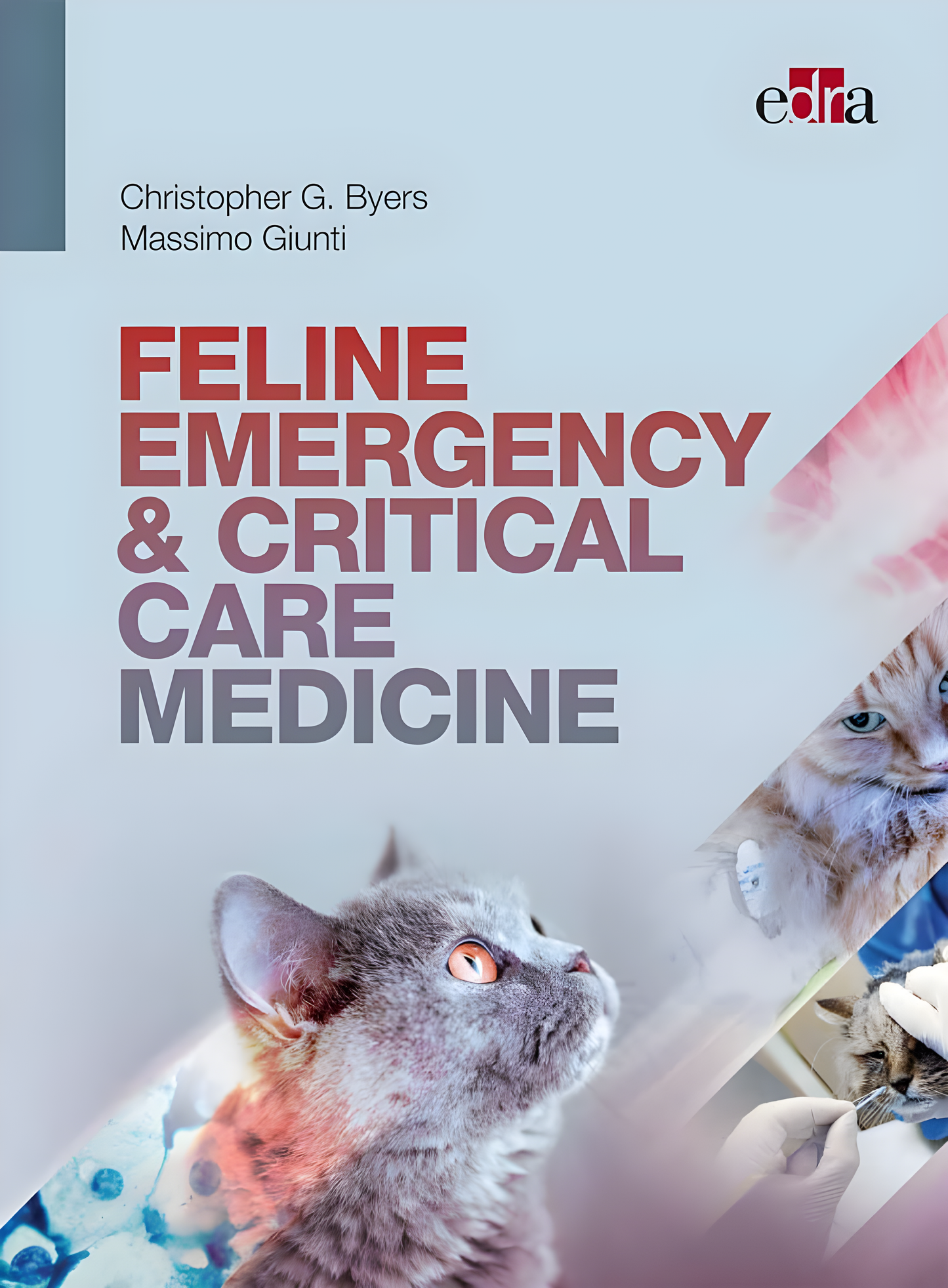 Feline Emergency and Critical Care Medicine - Original Cover