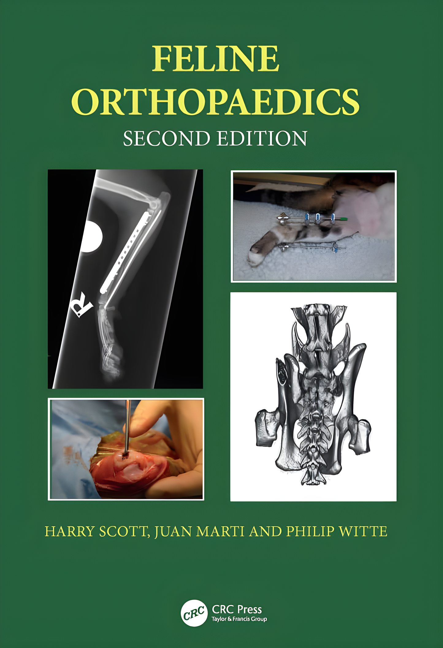 Feline Orthopaedics, 2nd Edition - Original Cover