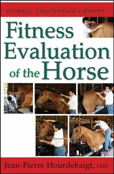Jean Fitness Evaluation Of The Horses