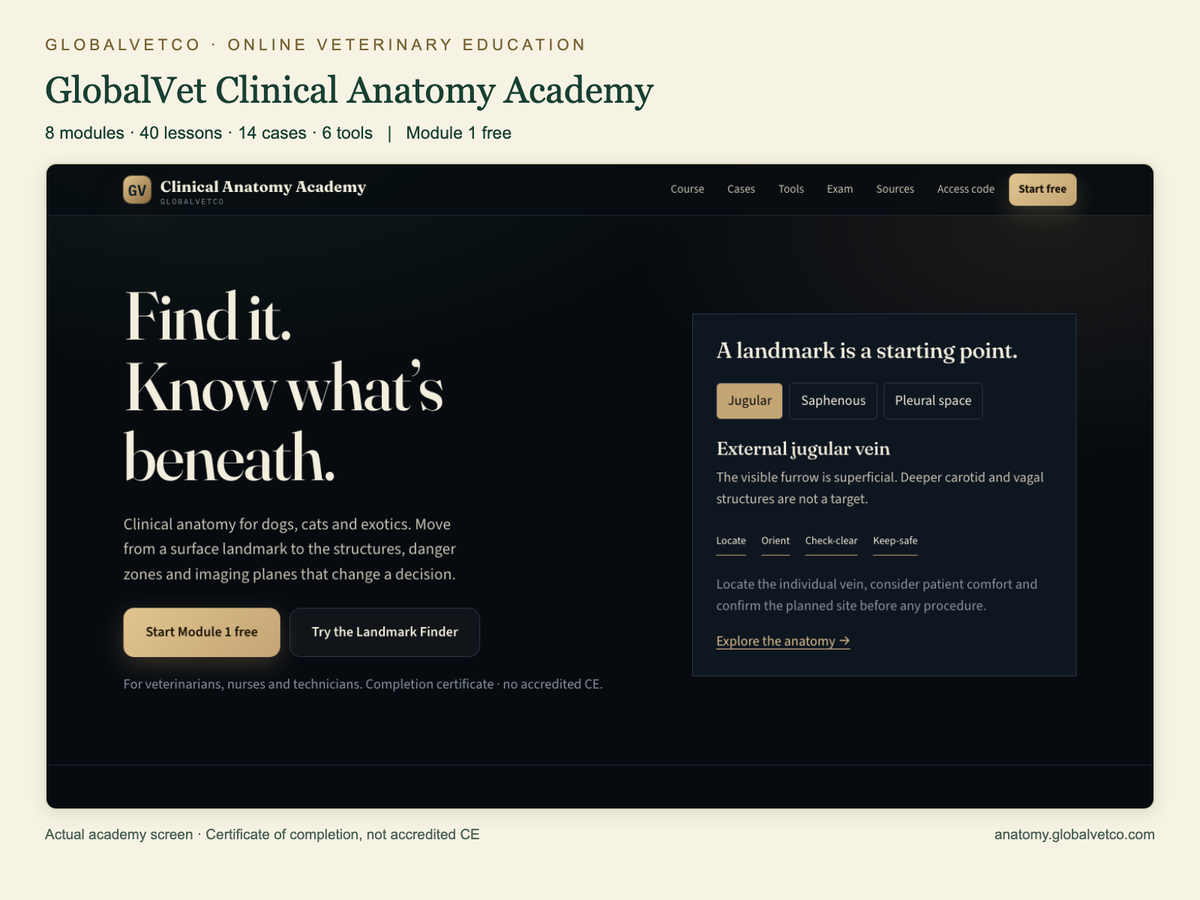 GlobalVet Clinical Anatomy Academy: 8 modules, 40 lessons, 14 cases and 6 tools. Actual academy interface.