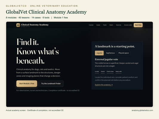 GlobalVet Clinical Anatomy Academy: 8 modules, 40 lessons, 14 cases and 6 tools. Actual academy interface.
