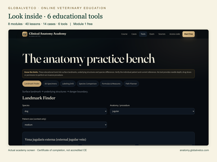 Actual Clinical Anatomy Academy educational tools screen.